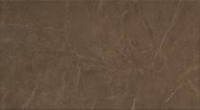 : MUSA-ERATO-25X45